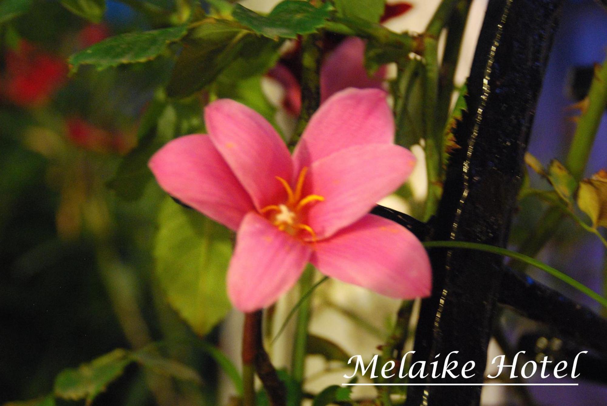 Melaike Hotel Foça Eksteriør billede